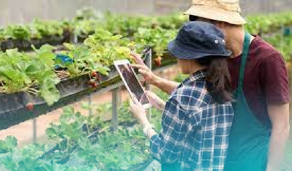 Agroindustria y Alimentos