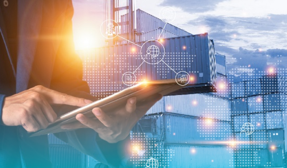 Logística y Cadena de Suministro